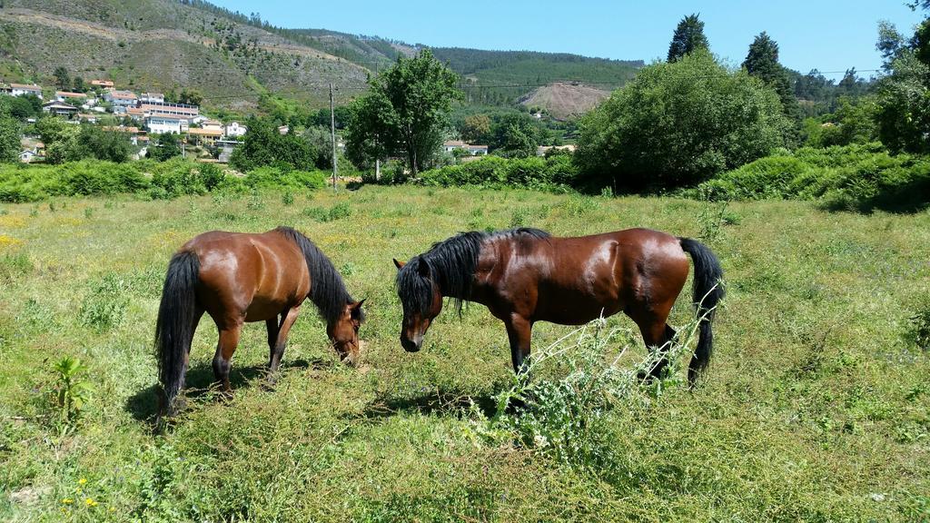 Casa De Baixo - Nature Hotel Alvoco das Várzeas Стая снимка